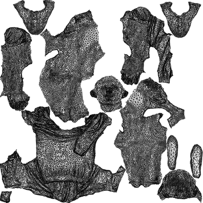 realistic 3D people boy kids, render-ready for V-Ray and Corona, FBX OBJ, wireframe top-down view