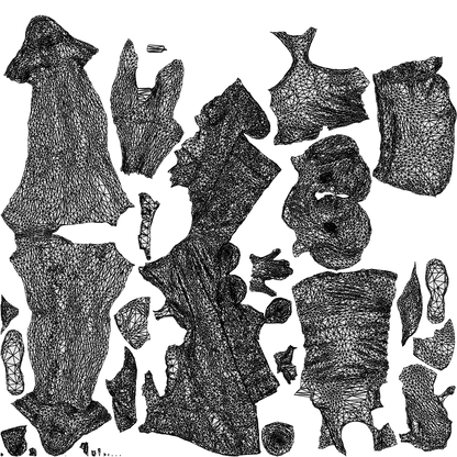 3D human model girl sport, photogrammetry scanned person for archviz, wireframe top-down view