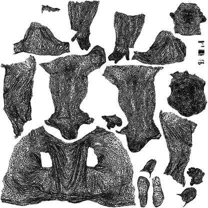 3D people model woman casual cycling, scanned human for 3ds Max rendering, wireframe top-down view