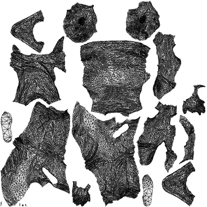 3D scanned senior man sitting casual, photorealistic archviz people for Enscape and SketchUp, wireframe top-down view