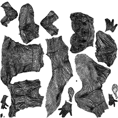 3D people model woman casual sitting, scanned human for 3ds Max rendering, wireframe top-down view