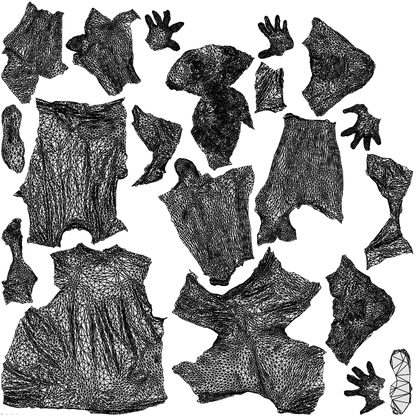 3D people model man sport, scanned human for 3ds Max rendering, wireframe top-down view