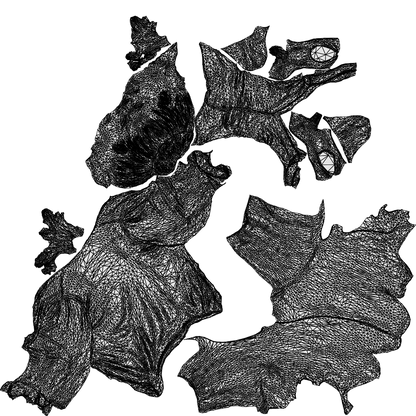 3D people model woman business sitting, scanned human for 3ds Max rendering, wireframe top-down view
