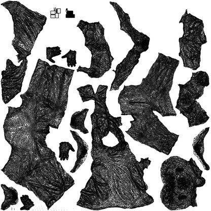 photogrammetry 3D girl kids, realistic human model archviz FBX, wireframe top-down view