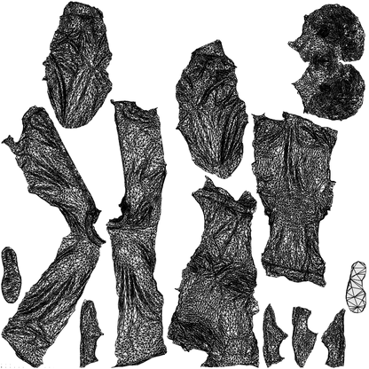 3D people model man casual standing, scanned human for 3ds Max rendering, wireframe top-down view
