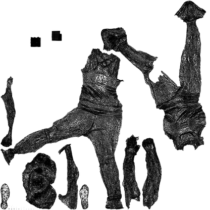 3D people model woman sport, scanned human for 3ds Max rendering, wireframe top-down view