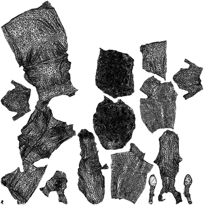3D human model woman casual standing, photogrammetry scanned person for archviz, wireframe top-down view