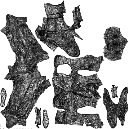 3D human model man business, photogrammetry scanned person for archviz, wireframe top-down view