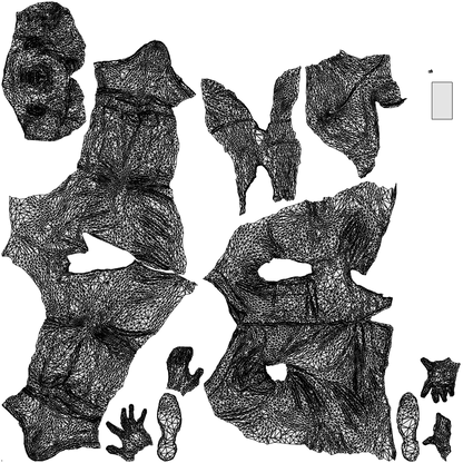 3D human model man business, photogrammetry scanned person for archviz, wireframe top-down view