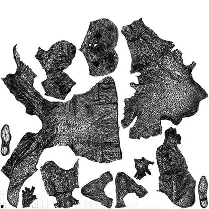 photogrammetry 3D man business, realistic human model archviz FBX, wireframe top-down view
