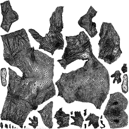 scanned 3D senior man medical, photogrammetry people for Enscape and V-Ray, wireframe top-down view