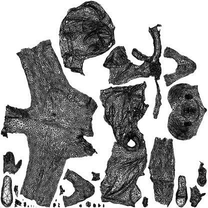 scanned 3D boy kids, photogrammetry people for Enscape and V-Ray, wireframe top-down view