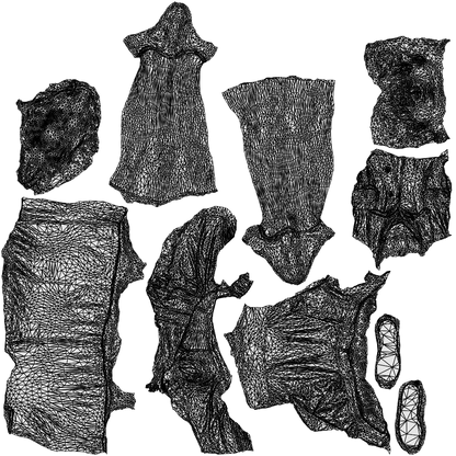 realistic 3D woman casual standing, scanned archviz people for Blender and 3ds Max, wireframe top-down view