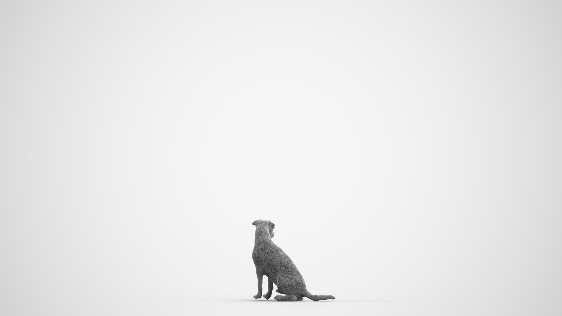 scanned 3D person misc, photogrammetry people for Enscape and V-Ray, wireframe front view