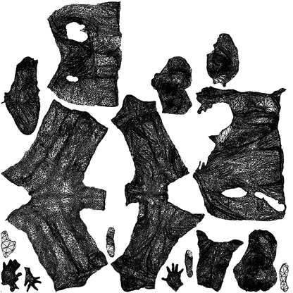 3D people model woman business, scanned human for 3ds Max rendering, wireframe top-down view