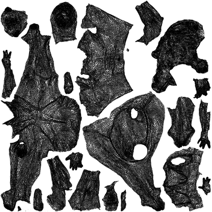 3D scanned woman mix, photorealistic archviz people for Enscape and SketchUp, wireframe top-down view