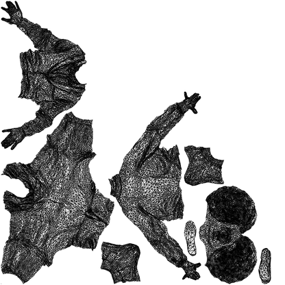 realistic 3D man business, scanned archviz people for Blender and 3ds Max, wireframe top-down view