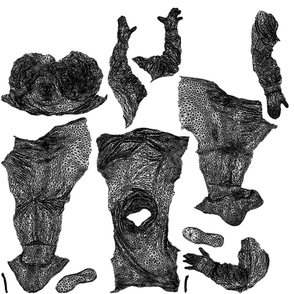 realistic 3D people man casual sitting, render-ready for V-Ray and Corona, FBX OBJ, wireframe top-down view