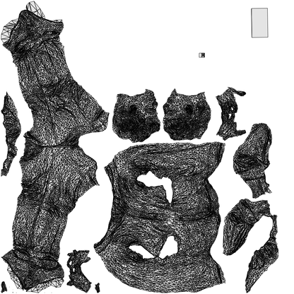 photogrammetry 3D man casual walking, realistic human model archviz FBX, wireframe top-down view