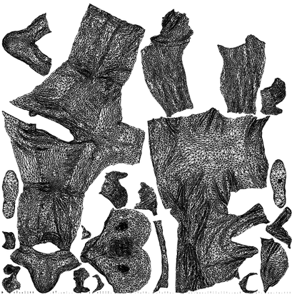 photogrammetry 3D senior man casual cycling, realistic human model archviz FBX, wireframe top-down view