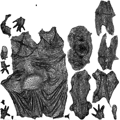 3D human model woman formal formalaffairs, photogrammetry scanned person for archviz, wireframe top-down view