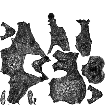 realistic 3D people man casual sitting, render-ready for V-Ray and Corona, FBX OBJ, wireframe top-down view