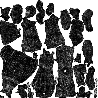3D people model girl casual kids, scanned human for 3ds Max rendering, wireframe top-down view