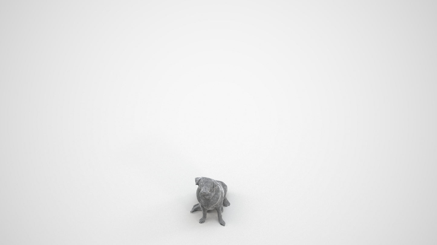 3D human model person misc, photogrammetry scanned person for archviz, wireframe three-quarter view