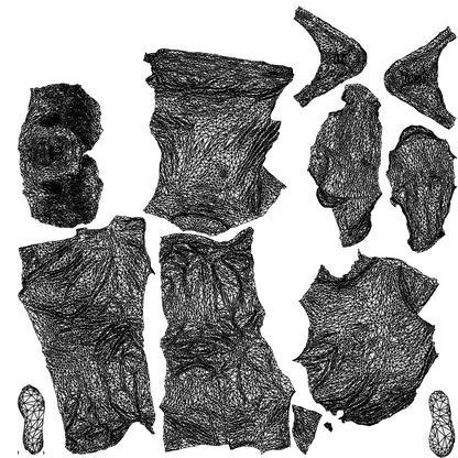 3D human model senior man casual standing, photogrammetry scanned person for archviz, wireframe top-down view