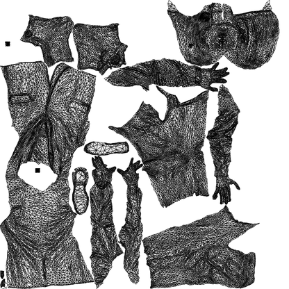 realistic 3D woman business cycling, scanned archviz people for Blender and 3ds Max, wireframe top-down view