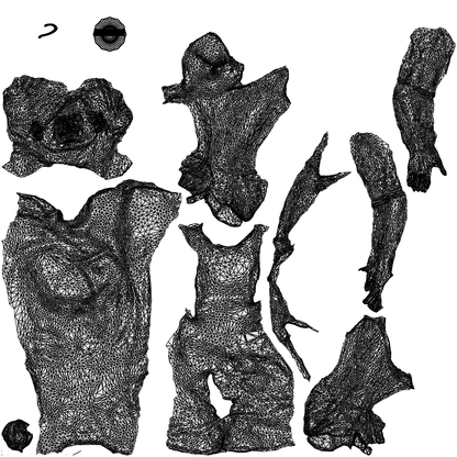 realistic 3D people woman business sitting, render-ready for V-Ray and Corona, FBX OBJ, wireframe top-down view