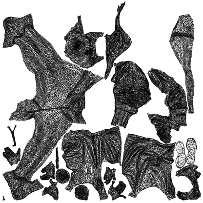 3D people model woman standing, scanned human for 3ds Max rendering, wireframe top-down view