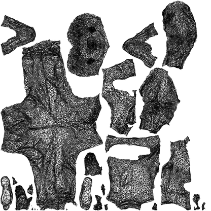 scanned 3D man hospitality, photogrammetry people for Enscape and V-Ray, wireframe top-down view