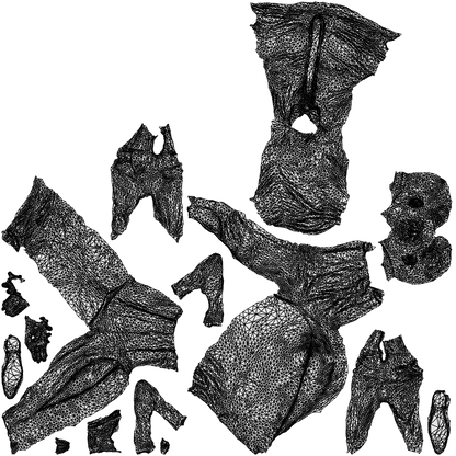 scanned 3D man hospitality, photogrammetry people for Enscape and V-Ray, wireframe top-down view