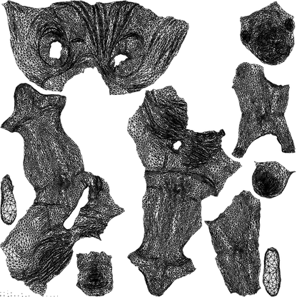 photogrammetry 3D man casual sitting, realistic human model archviz FBX, wireframe top-down view