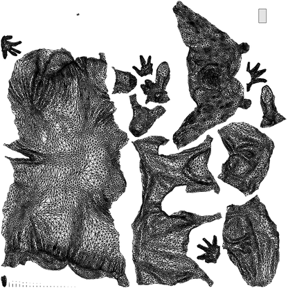 realistic 3D woman casual sitting, scanned archviz people for Blender and 3ds Max, wireframe top-down view
