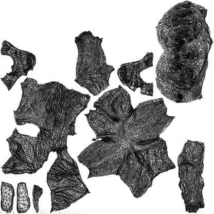 3D human model boy casual kids, photogrammetry scanned person for archviz, wireframe top-down view