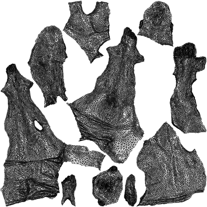 3D people model man pool, scanned human for 3ds Max rendering, wireframe three-quarter back view