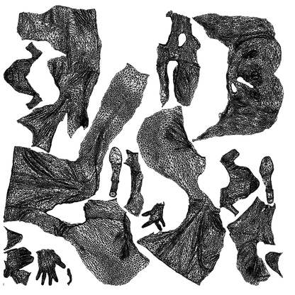 3D people model woman casual sitting, scanned human for 3ds Max rendering, wireframe top-down view