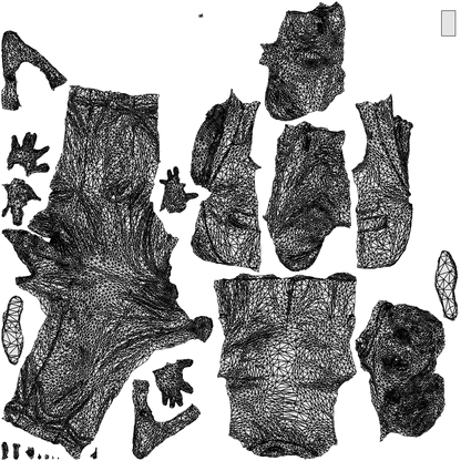 photogrammetry 3D man business, realistic human model archviz FBX, wireframe top-down view