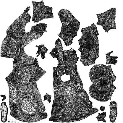 realistic 3D people man business, render-ready for V-Ray and Corona, FBX OBJ, wireframe top-down view