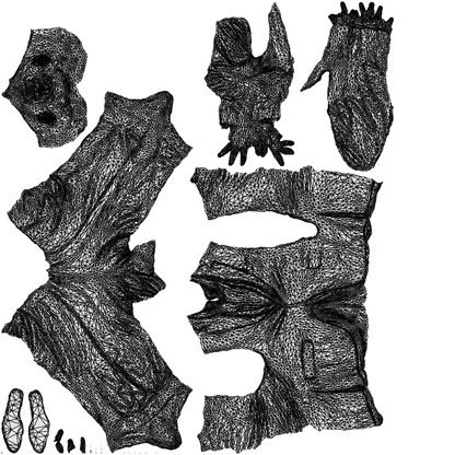 scanned 3D senior man business, photogrammetry people for Enscape and V-Ray, wireframe top-down view