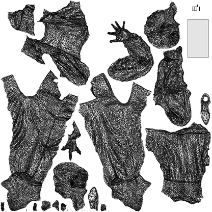 3D scanned woman standing business, photorealistic archviz people for Enscape and SketchUp, wireframe top-down view