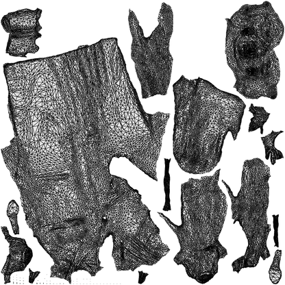 scanned 3D woman formal formalaffairs, photogrammetry people for Enscape and V-Ray, wireframe top-down view