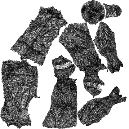 realistic 3D man casual walking, scanned archviz people for Blender and 3ds Max, wireframe top-down view