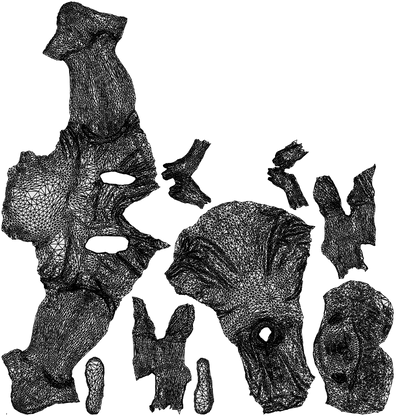 3D scanned boy kids casual, photorealistic archviz people for Enscape and SketchUp, wireframe top-down view