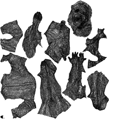 realistic 3D people man pool, render-ready for V-Ray and Corona, FBX OBJ, wireframe top-down view