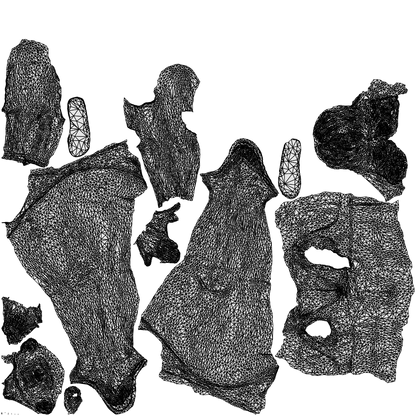 scanned 3D woman pool, photogrammetry people for Enscape and V-Ray, wireframe top-down view