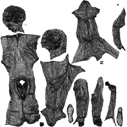 scanned 3D man business cycling, photogrammetry people for Enscape and V-Ray, wireframe top-down view