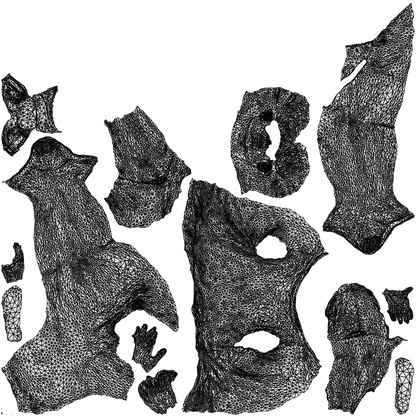 3D human model man casual sitting, photogrammetry scanned person for archviz, wireframe top-down view